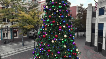 A Christmas Miracle (2024) download