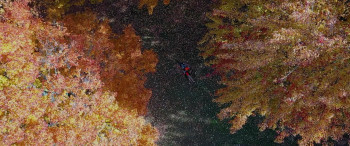 A Father's Diary (2021) download