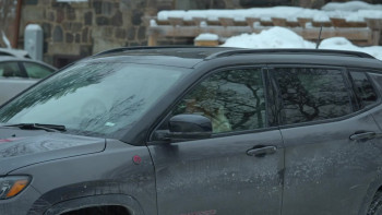 A Royal Christmas Tail (2025) download