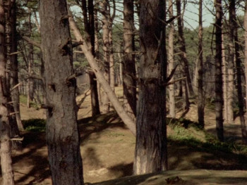 A Warning to the Curious (1972) download
