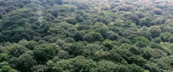 AB-Negative (2006) download