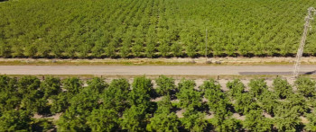 Abigail (2023) download