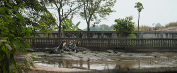 Air Mata Buaya (2024) download