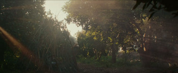 All That's Left of You (2025) download