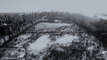 American Mirror: Intimations of Immortality (2018) download