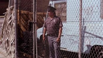 American Murder (1988) download