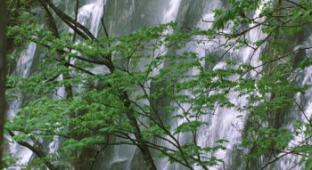 Amida-do dayori (2002) download