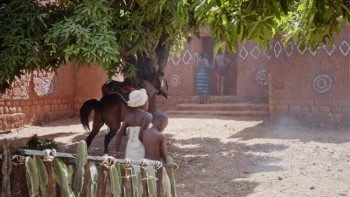 Amina (2021) download