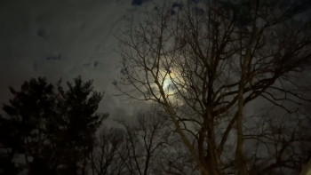 Amityville Backrooms (2024) download