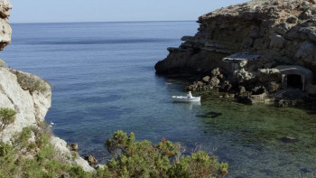 Amnesia (2015) download