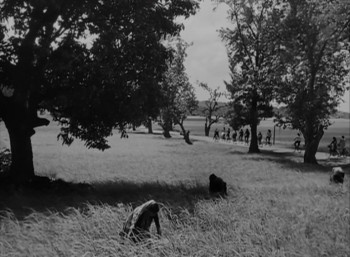 Anari (1959) download