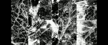 Anatema (2024) download