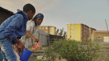 Anbessa (2019) download