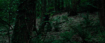 Anemone (2025) download