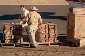 Angels with Angles (2005) download