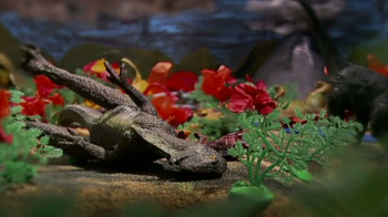 Anonymous Rex (2004) download