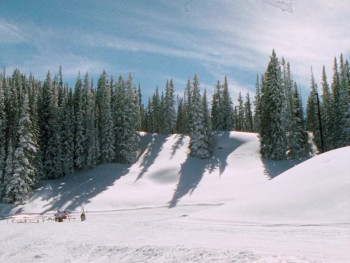 Aspen (1991) download