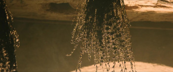 Assassin's Guild (2024) download