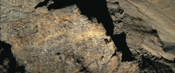 Atlas (2021) download