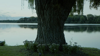 Au Revoir (2022) download