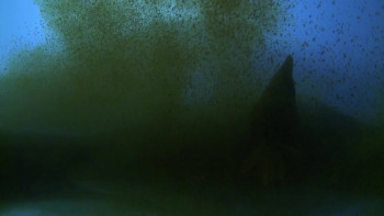 AUN: The Beginning and the End of All Things (2011) download