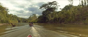 Ayahuasca, Expansão da Consciência (2018) download