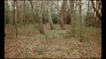 Ayran Papers (2026) download