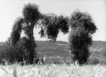 Aysel: Batakli Damin Kizi (1934) download