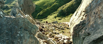 Baaria (2009) download