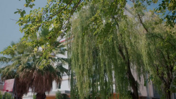 Baba Beni Güldürsene (2024) download