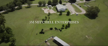 Batter's Box (2025) download