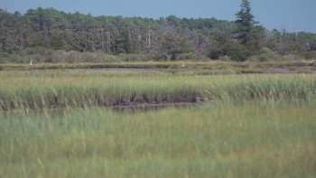 Before the Lighthouse (2025) download