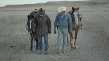 Before They Vanish (2022) download