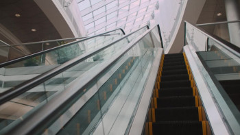 Between Life & Death: Terri Schiavo's Story (2023) download