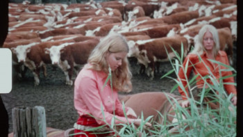 Beyond the Gaze: Jule Campbell's Swimsuit Issue (2024) download