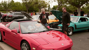 Bikes vs Cars (2015) download