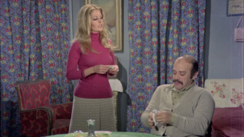 Bir Garip Yolcu (1973) download