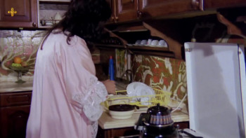 Bir Kadin Bir Hayat (1985) download