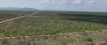 Bittersweet Rain (2022) download