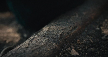 Brothers from Malta (2022) download