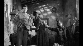 Buñuel, un cineasta surrealista (2021) download