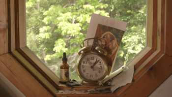 Burt's Buzz (2013) download