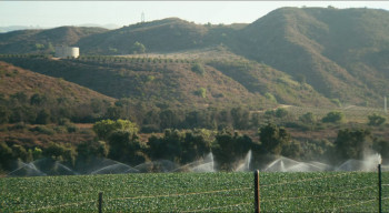 California Solo (2012) download