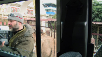 Camera Trap (2014) download