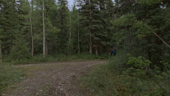 Camp (2025) download