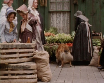 Captive Heart: The James Mink Story (1996) download