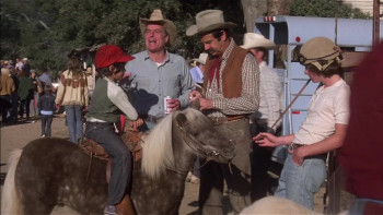 Casey's Shadow (1978) download