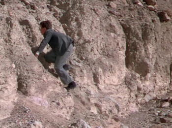 Cattle Drive (1951) download