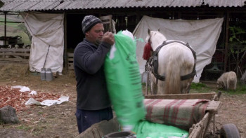 Ceux qui restent (2019) download