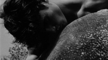 Chop Suey (2001) download